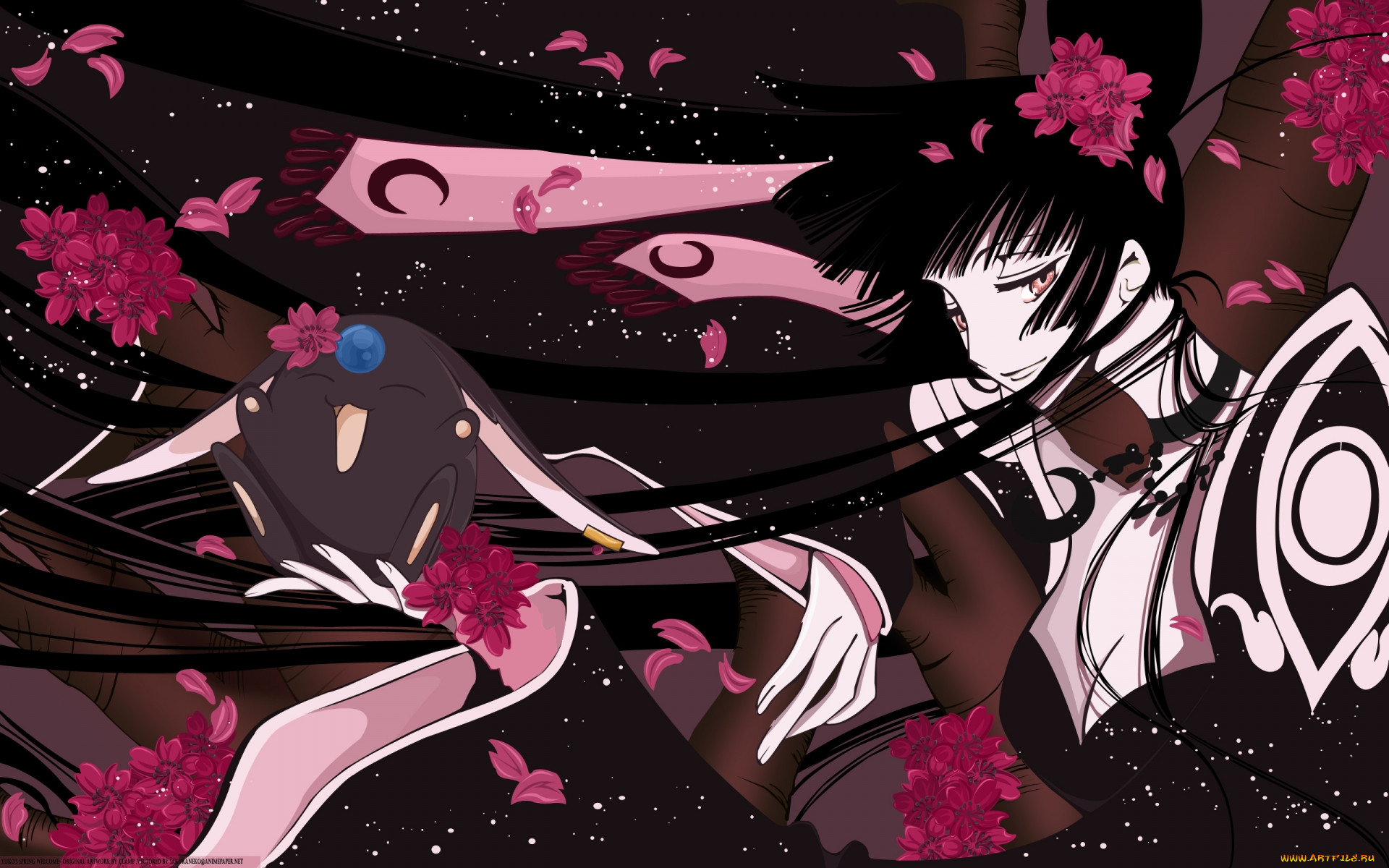 , xxxholic